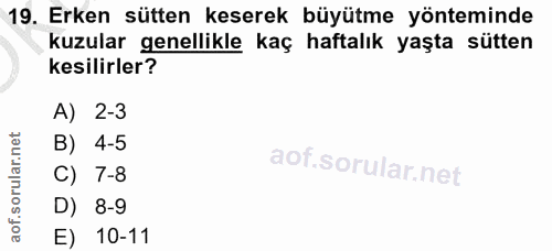 19. soru: Erken sütten keserek büyütme yönteminde kuzular genellikle kaç haftalık yaşta sütten kesilirler? A) 2-3 B) 4-5 C) 7-8…