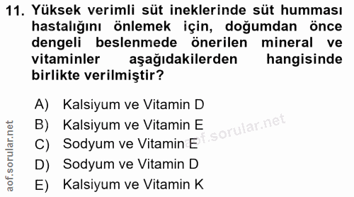 11. soru: Yüksek verimli süt ineklerinde süt humması hastalığını önlemek için, doğumdan önce dengeli beslenmede önerilen minera…