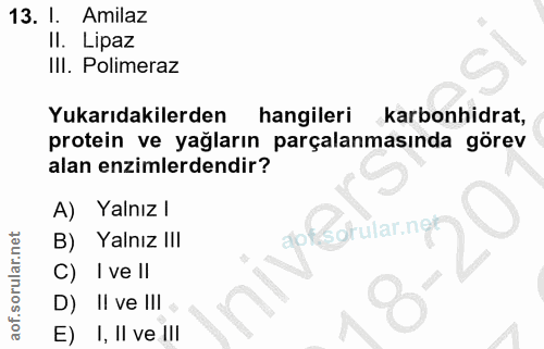 13. soru: 1. Amilaz II. Lipaz III. Polimeraz Yukarıdakilerden hangileri karbonhidrat, protein ve yağların parçalanmasında görev…