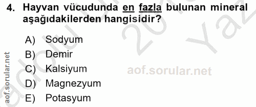 4. soru: Hayvan vücudunda en fazla bulunan mineral aşağıdakilerden hangisidir? A) Sodyum B) Demir C) Kalsiyum D) Magnezyum E)…
