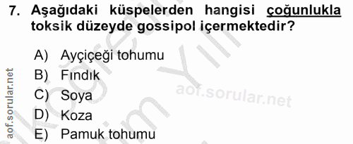 7. soru: Aşağıdaki küpelerden hangisi çoğunlukla toksik düzeyde gossipol içermektedir? A) Ayçiçeği tohumu B) Fındık C) Soya ad…