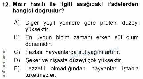 12. soru: Mısır hasılı ile ilgili aşağıdaki ifadelerden hangisi doğrudur? A) Diğer yeşil yemlere göre protein düzeyi yüksektir.…