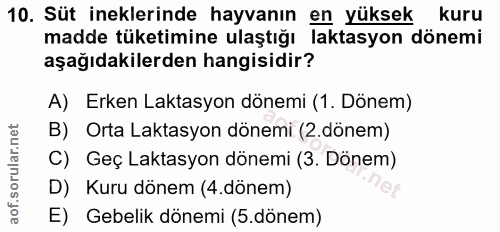 10. soru: Süt ineklerinde hayvanın en yüksek kuru madde tüketimine ulaştığı laktasyon dönemi aşağıdakilerden hangisidir? A) Erk…