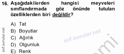 16. soru: Aşağıdakilerden hangisi meyveleri sınıflandırmada göz önünde tutulan özelliklerden biri değildir? A) Tat B) Boyutlar…