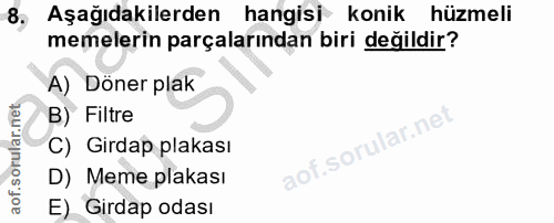 8. soru: 8, Aşağıdakilerden hangisi konik hüzmeli memelerin parçalarından biri değildir? A) Döner plak B) Filtre ar.net C) Gir…