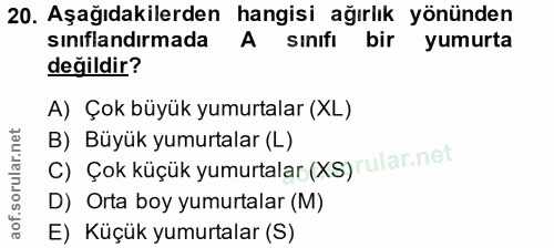 20. soru: Aşağıdakilerden hangisi ağırlık yönünden sinıflandırmada A sınıfı bir yumurta değildir? A) Çok büyük yumurtalar (XL)…
