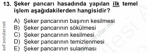 13. soru: Şeker pancarı hasadında yapılan ilk temel işlem aşağıdakilerden hangisidir? A) Şeker pancarının başının kesilmesi B)…