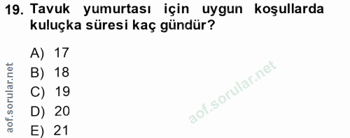 19. soru: Tavuk yumurtası için uygun koşullarda kuluçka süresi kaç gündür? A) 17 B) 18 C) 19 D) 20 E) 21