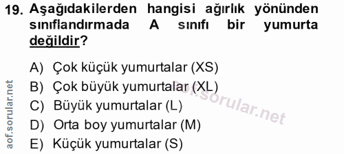 19. soru: Aşağıdakilerden hangisi ağırlık yönünden sinıflandırmada A sınıfı bir yumurta değildir? A) Çok küçük yumurtalar (XS)…