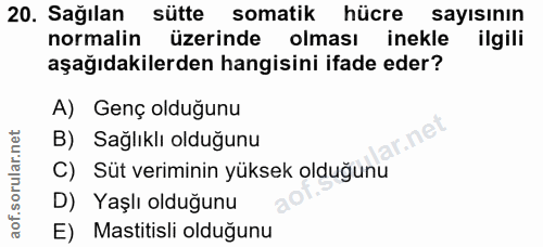 20. soru: Sağılan sütte somatik hücre sayısının normalin üzerinde olması inekle ilgili aşağıdakilerden hangisini ifade eder? A)…