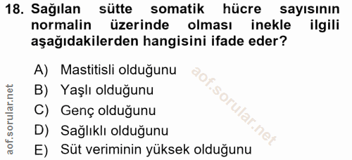 18. soru: Sağılan sütte somatik hücre sayisinın normalin üzerinde olması inekle ilgili aşağıdakilerden hangisini ifade eder? A)…