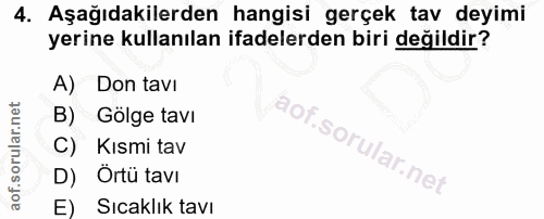 4. soru: Aşağıdakilerden hangisi gerçek tav deyimi yerine kullanılan ifadelerden biri değildir? A) Don tavi B) Gölge tavı C) K…