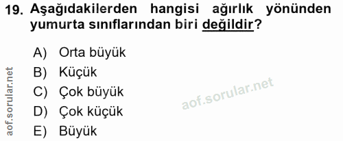 19. soru: Aşağıdakilerden hangisi ağırlık yönünden yumurta sınıflarından biri değildir? A) Orta büyük B) Küçük C) Çok büyük D)…