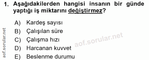 1. soru: Aşağıdakilerden hangisi insanın bir günde yaptığı iş miktarını değiştirmez? A) Kardeş sayısı B) Çalışılan süre C) Çal…