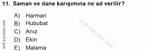 11. soru: Saman ve dane karışımına ne ad verilir? A) Harman B) Hububat C) Anız D) Ekin E) Malama