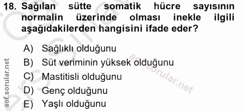 18. soru: Sağılan sütte somatik hücre sayısının normalin üzerinde olması inekle ilgili aşağıdakilerden hangisini ifade eder? A)…