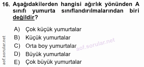 16. soru: Aşağıdakilerden hangisi ağırlık yönünden A sınıfı yumurta sınıflandırılmalarından biri değildir? A) Çok küçük yumurta…