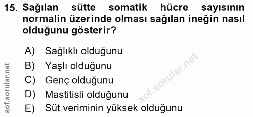 15. soru: Sağılan sütte somatik hücre sayısının normalin üzerinde olması sağılan ineğin nasıl olduğunu gösterir? A) Sağlıklı ol…