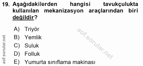 19. soru: Aşağıdakilerden hangisi tavukçulukta kullanılan mekanizasyon araçlarından biri değildir? A) Triyör B) Yemlik C) Suluk…