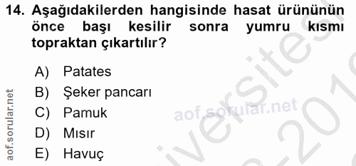 14. soru: Aşağıdakilerden hangisinde hasat ürününün önce başı kesilir sonra yumru kismı topraktan çıkartılır? A) Patates B) Şek…