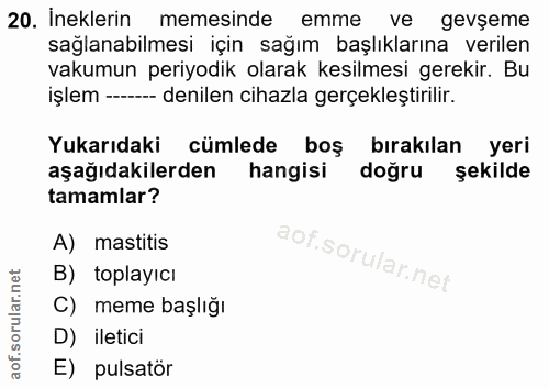 20. soru: İneklerin memesinde emme ve gevşeme sağlanabilmesi için sağım başlıklarına verilen vakumun periyodik olarak kesilmesi…