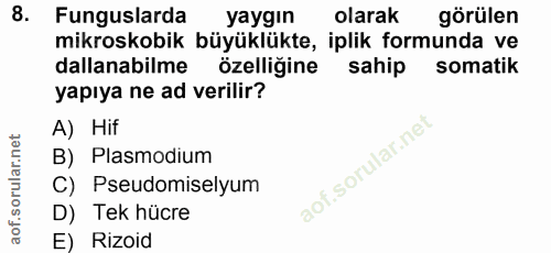 8. soru: Funguslarda yaygin olarak görülen mikroskobik büyüklükte, iplik formunda ve dallanabilme özelligine sahip somatik yap…