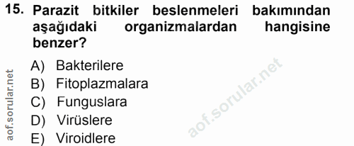 15. soru: Parazit bitkiler beslenmeleri bakımından aşağıdaki organizmalardan hangisine benzer? A) Bakterilere B) Fitoplazmalara…