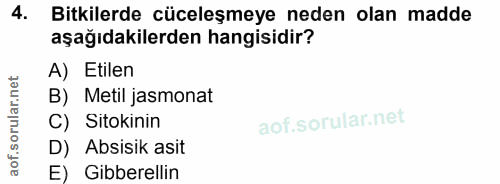 4. soru: Bitkilerde cüceleşmeye neden olan madde aşağıdakilerden hangisidir? A) Etilen B) Metil jasmonat C) Sitokinin D) Absis…