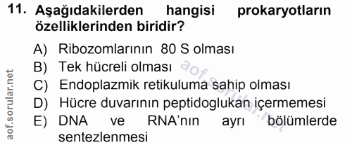 11. soru: Aşağıdakilerden hangisi prokaryotların özelliklerinden biridir? A) Ribozomlarının 80 S olması B) Tek hücreli olması C…