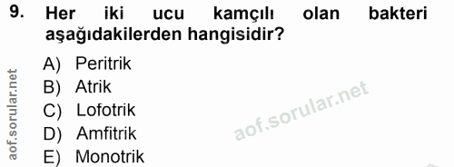 9. soru: Her iki ucu kamçılı olan bakteri aşağıdakilerden hangisidir? A) Peritrik B) Atrik C) Lofotrik D) Amfitrik E) Monotrik