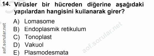 14. soru: Virüsler bir hücreden diğerine aşağıdaki yapılardan hangisini kullanarak girer? A) Lomasome B) Endoplasmik retikulum…