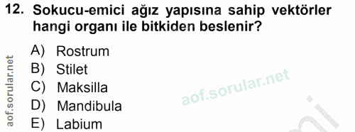 12. soru: Sokucu-emici ağız yapısına sahip vektörler hangi organı ile bitkiden beslenir? A) Rostrum B) Stilet C) Maksilla D) Ma…