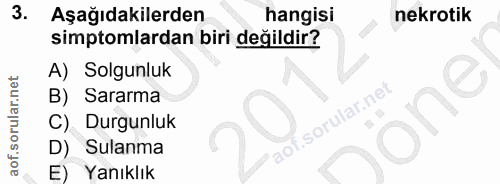 3. soru: Aşağıdakilerden hangisi nekrotik simptomlardan biri değildir? A) Solgunluk B) Sararma one C) Durgunluk D) Sulanma E)…