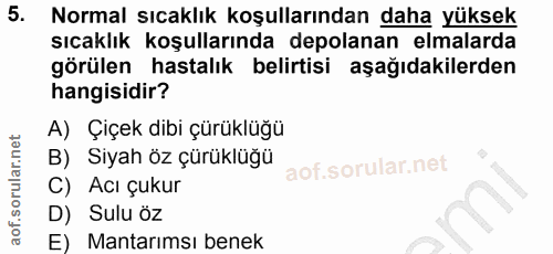 5. soru: Normal sıcaklık koşullarından daha yüksek sıcaklık koşullarında depolanan elmalarda görülen hastalık belirtisi aşağıd…