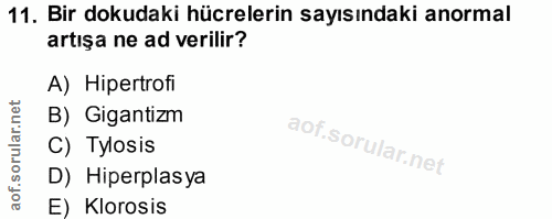 11. soru: Bir dokudaki hücrelerin sayısındaki anormal artışa ne ad verilir? A) Hipertrofi B) Gigantizm C) Tylosis D) Hiperplasy…