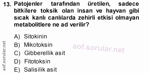 13. soru: Patojenler tarafindan üretilen, sadece bitkilere toksik olan insan ve hayvan gibi sıcak kanlı canlılarda zehirli etki…