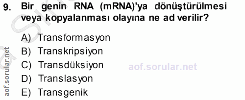 9. soru: Bir genin RNA (mRNA)'ya dönüştürülmesi veya kopyalanması olayına ne ad verilir? A) Transformasyon B) Transkripsiyon C…