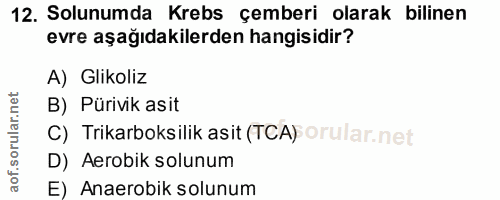 12. soru: Solunumda Krebs çemberi olarak bilinen evre aşağıdakilerden hangisidir? A) Glikoliz B) Pürivik asit C) Trikarboksilik…