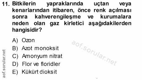 11. soru: Bitkilerin yapraklarında uçtan veya kenarlarından itibaren, önce renk açılması sonra kahverengileşme ve kurumalara ne…