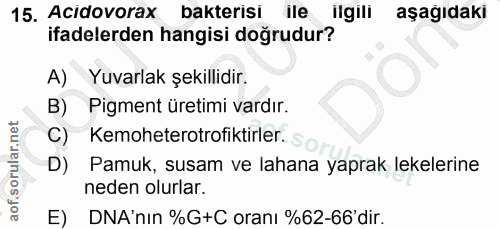 15. soru: Acidovorax bakterisi ile ilgili aşağıdaki ifadelerden hangisi doğrudur? A) Yuvarlak şekillidir. B) Pigment üretimi va…