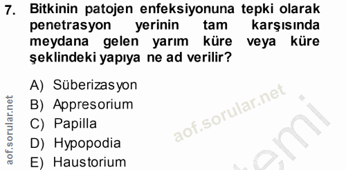 7. soru: Bitkinin patojen enfeksiyonuna tepki olarak penetrasyon yerinin tam karşısında meydana gelen yarım küre veya küre şek…