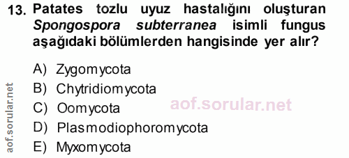 13. soru: Patates tozlu uyuz hastalığını oluşturan Spongospora subterranea isimli fungus aşağıdaki bölümlerden hangisinde yer a…