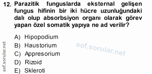 12. soru: Parazitik funguslarda eksternal gelişen fungus hifinin bir iki hücre uzunluğundaki dalı olup absorbsiyon organı olara…