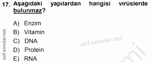 17. soru: Aşağıdaki yapılardan hangisi virüslerde bulunmaz? A) Enzim B) Vitamin C) DNA D) Protein E) RNA