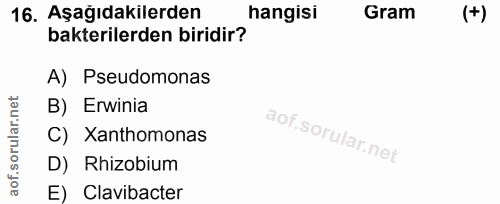 16. soru: Aşağıdakilerden hangisi Gram bakterilerden biridir? A) Pseudomonas rular.n B) Erwinia C) Xanthomonas D) Rhizobium aof…