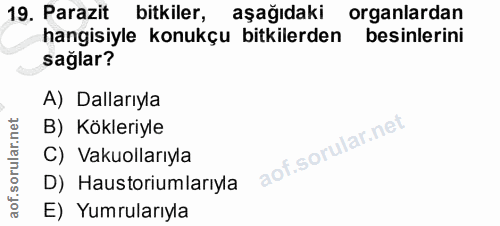 19. soru: Parazit bitkiler, aşağıdaki organlardan hangisiyle konukçu bitkilerden besinlerini sağlar? A) Dallarıyla B) Kökleriyl…