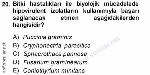 20. soru: Bitki hastalıkları ile biyolojik mücadelede hipovirulent izolatların kullanımıyla başarı sağlanacak etmen aşağıdakile…