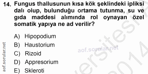 14. soru: Fungus thallusunun kısa kök şeklindeki ipliksi dalı olup, bulunduğu ortama tutunma, su ve gıda maddesi alımında rol o…