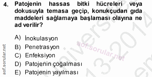 4. soru: Patojenin hassas bitki hücreleri veya dokusuyla temasa geçip, konukçudan gıda maddeleri sağlamaya başlaması olayına n…