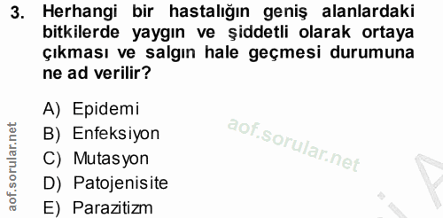 3. soru: Herhangi bir hastalığın geniş alanlardaki bitkilerde yaygın ve şiddetli olarak ortaya çıkması ve salgın hale geçmesi…